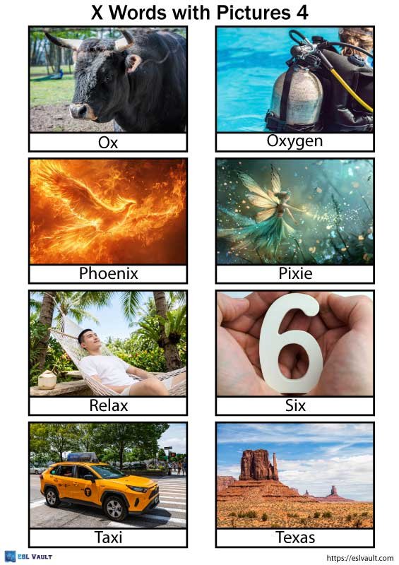 easy x words for kids