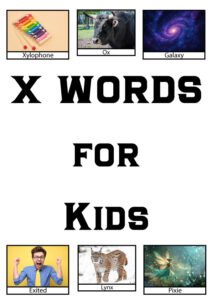 letter x words for kids with pictures