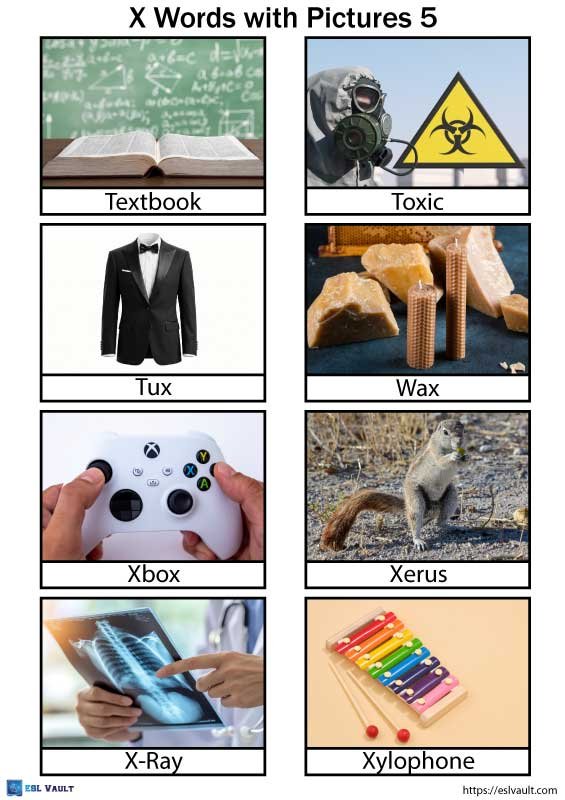 letter X words for kids