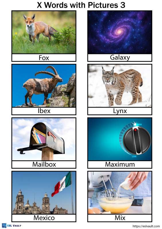 printable x words with pictures pdf 3