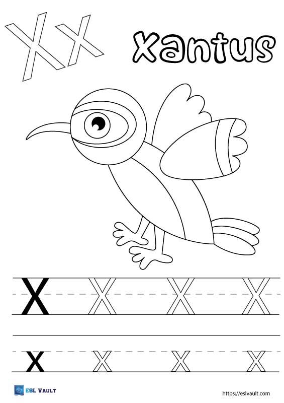 xantus hummingbird letter x coloring page