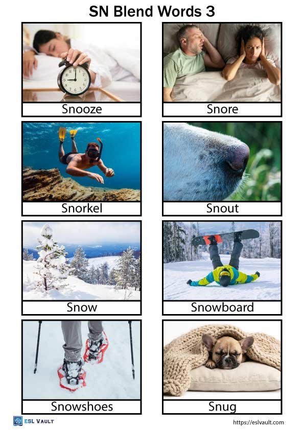 SN blend words with pictures PDF