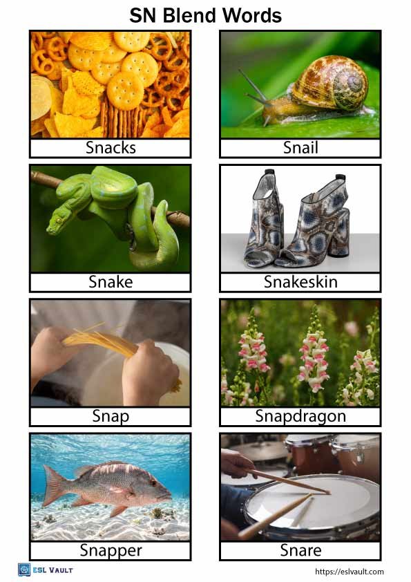 SN blend words with pictures