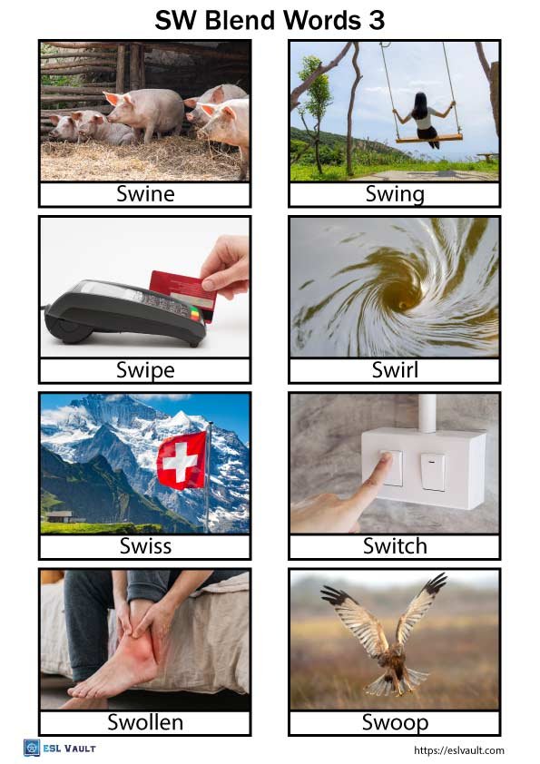 SW blends words with pictures pdf