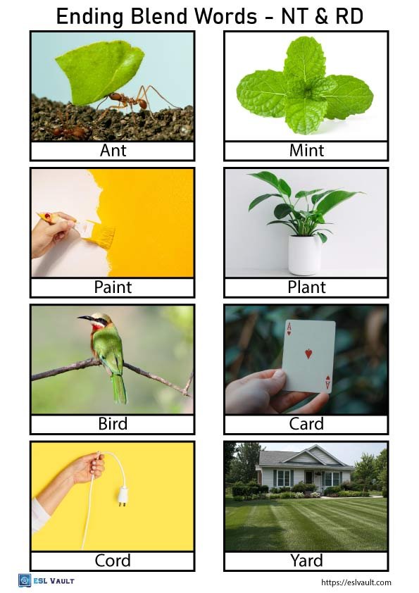 final consonant blend words pictures