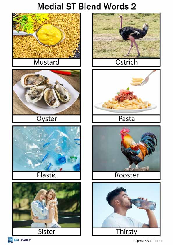 medial St blend words with pictures 2