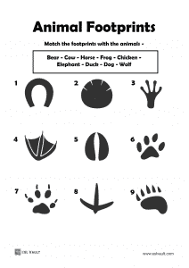 Animal footprints matching ESL Puzzle