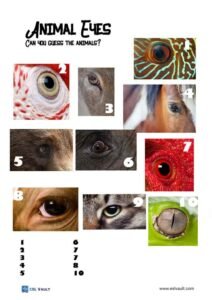 8 close up picture quiz printables - ESL Vault