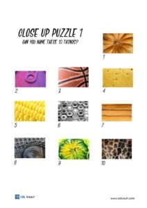 close up picture quiz printable 1