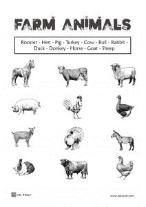 farm animals matching worksheet for ESL