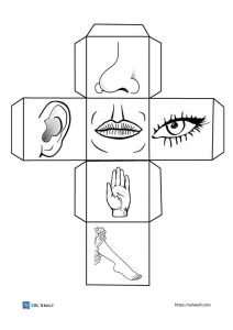 printable activity dice with body part pictures
