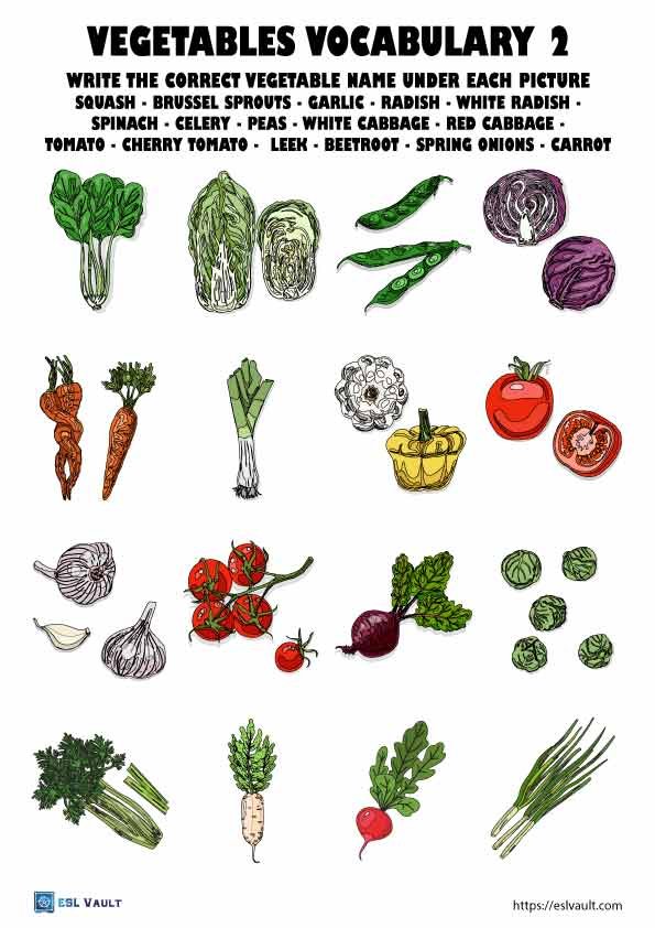 vegetable vocabulary worksheet 2