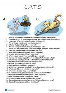cat conversation questions for ESL classes