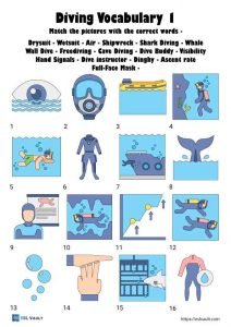 diving vocabulary worksheet fo ESL