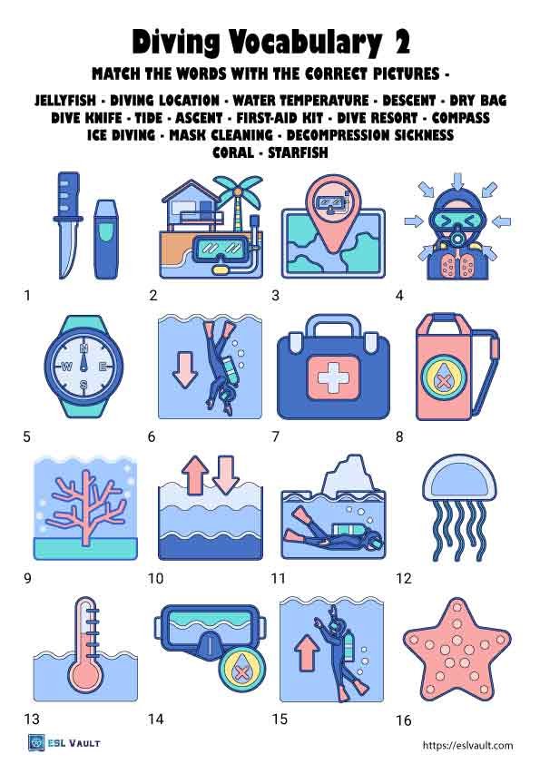 diving vocabulary worksheet 2 for English study