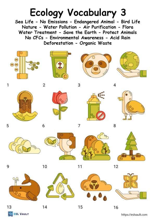 ecology vocabulary worksheet matching for ESL