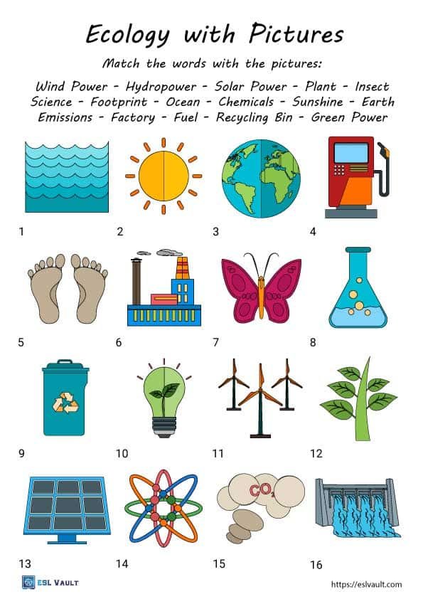 ecology vocabulary with pictures