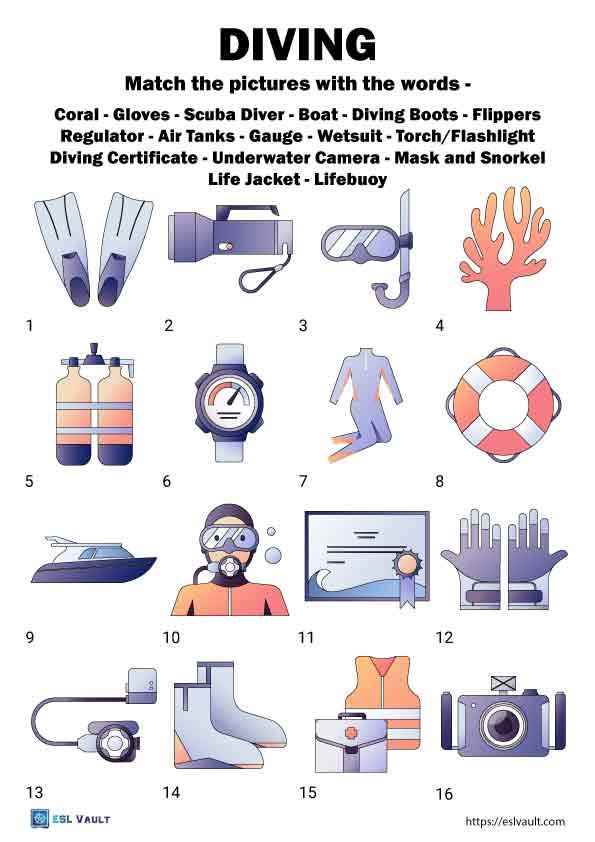 scuba diving terms worksheet for English
