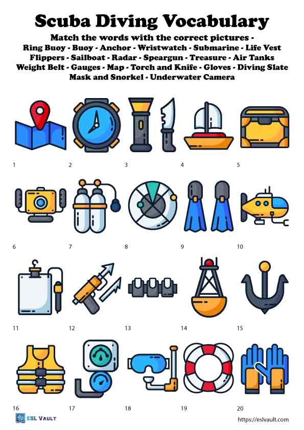 scuba diving vocabulary worksheet for ESL