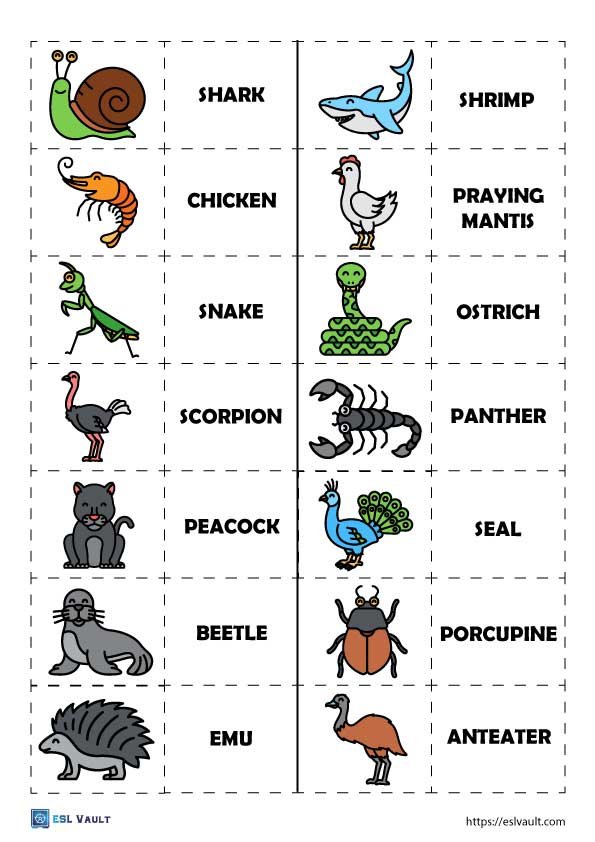 97 animals esl puzzle sheet 6 of 7
