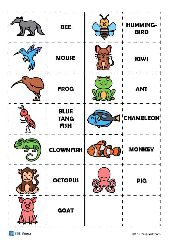 English 97 animals esl puzzle sheet 7 of 7