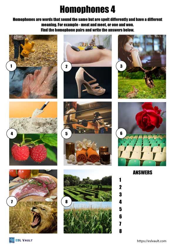 vocabulary homophones worksheet 4