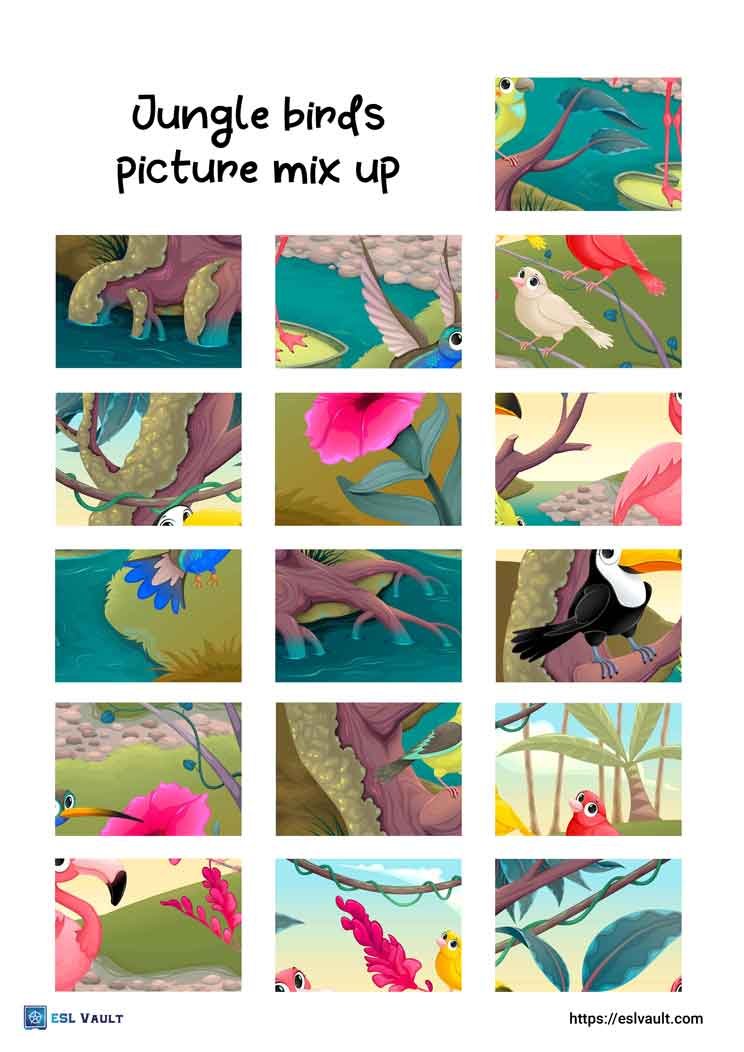 jungle birds picture mix up puzzle printable