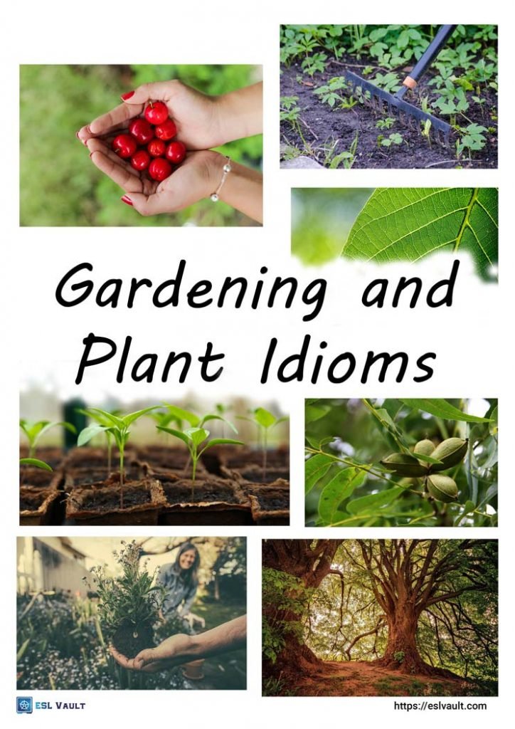 gardening and plant idioms poster