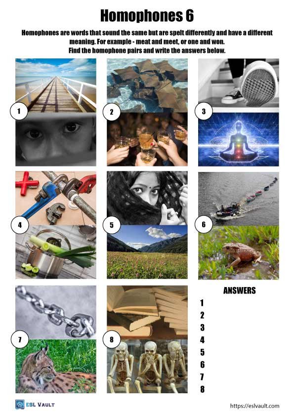 homophones worksheet 6