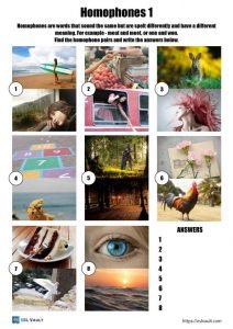 homophones worksheet