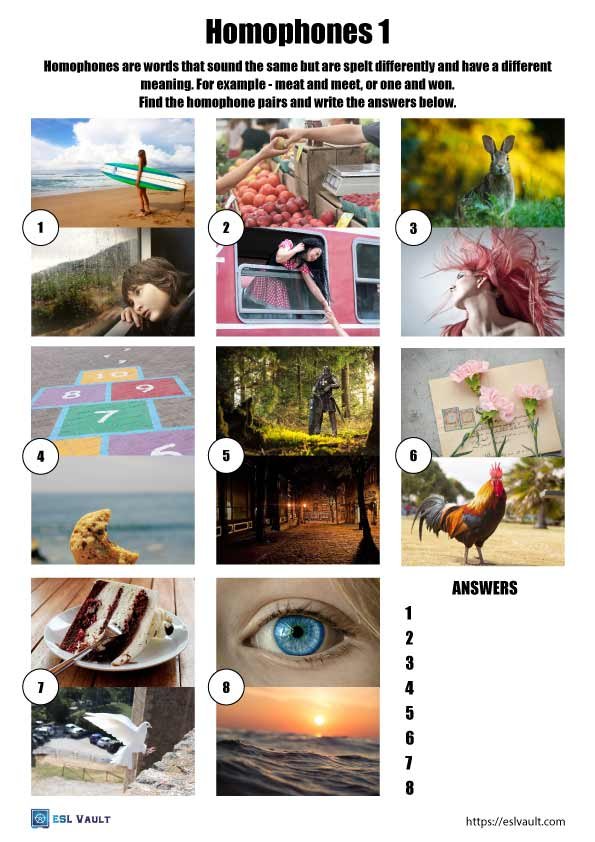 11 free homophones worksheets - ESL Vault