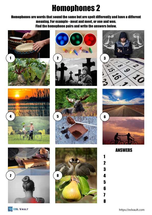 homophones worksheet esl 2