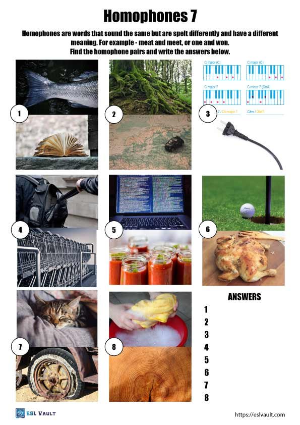 homophones worksheet printable