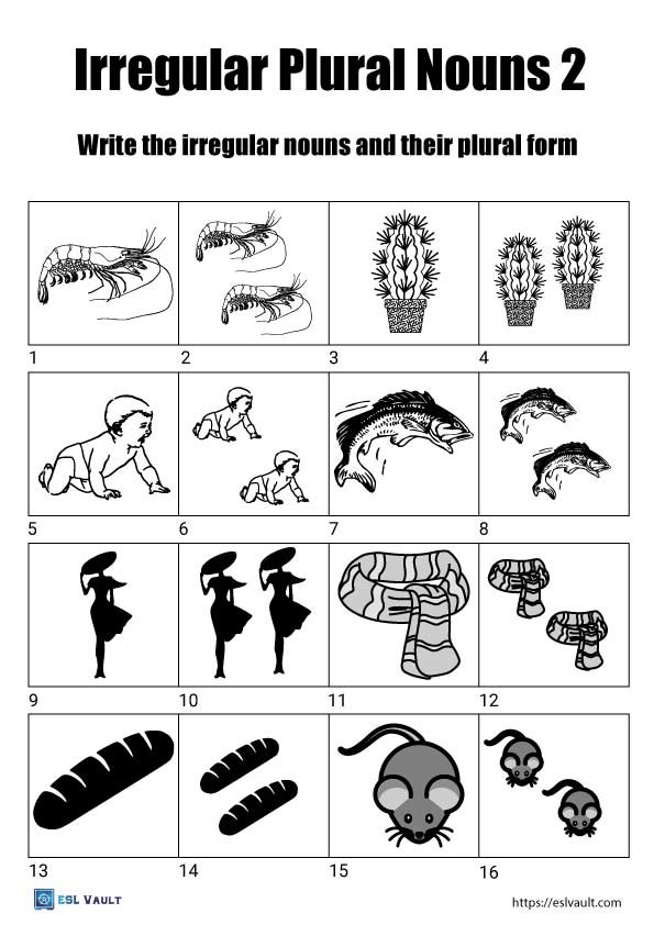 irregular plural nouns worksheet 2