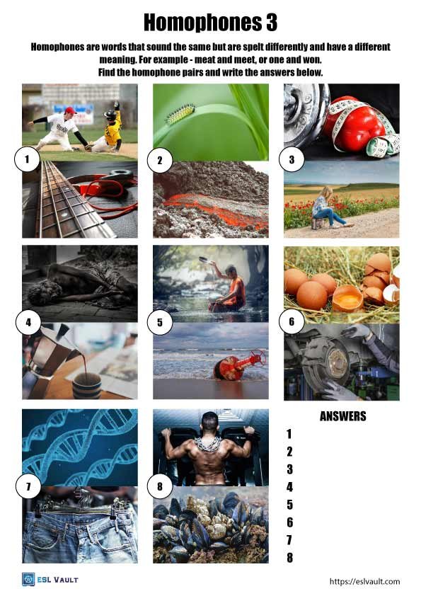 matching homophones worksheet