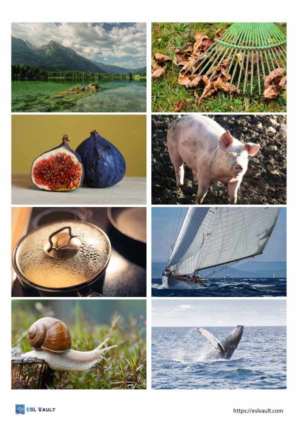 rhyming words for kids pictures 2