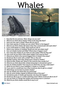 25 whale conversation questions