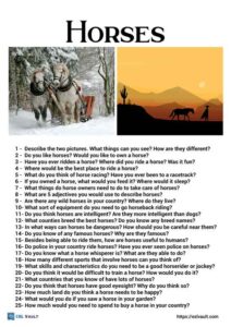 25 horse conversation questions