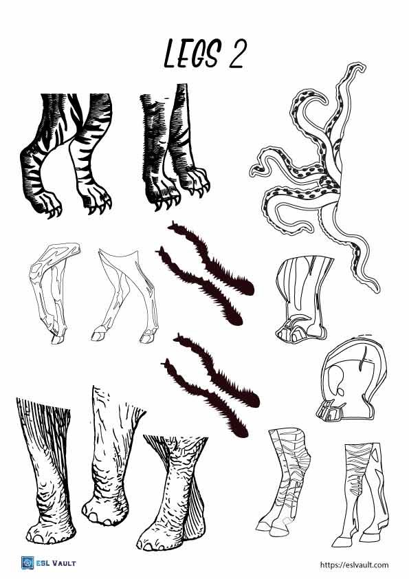 animal mix up printables legs 2