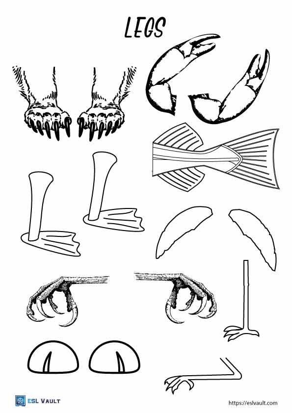 animal mix up printables legs