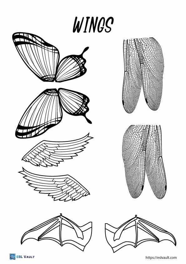 animal mix up printables wings