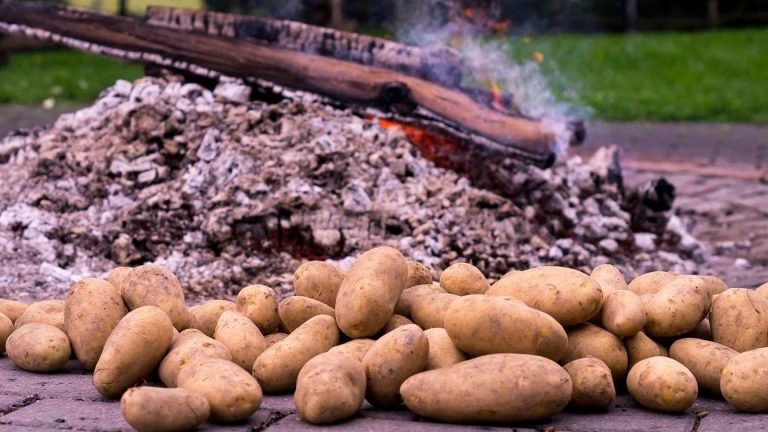 hot potatoes hot idioms picture
