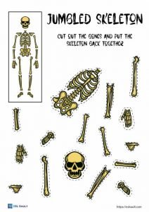 jumbled up skeleton craft printable