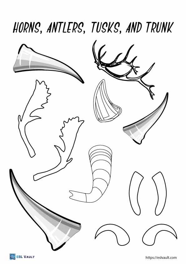 mix and match animals horns and antlers