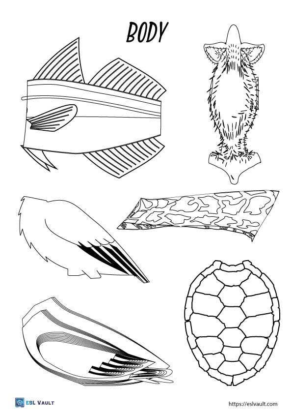 mixed up animal printables body
