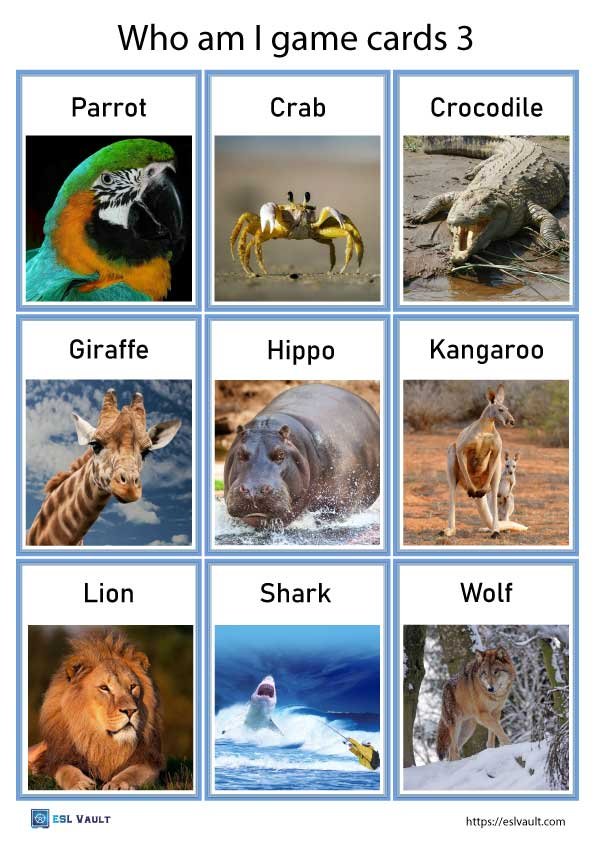 printable who am I game animals