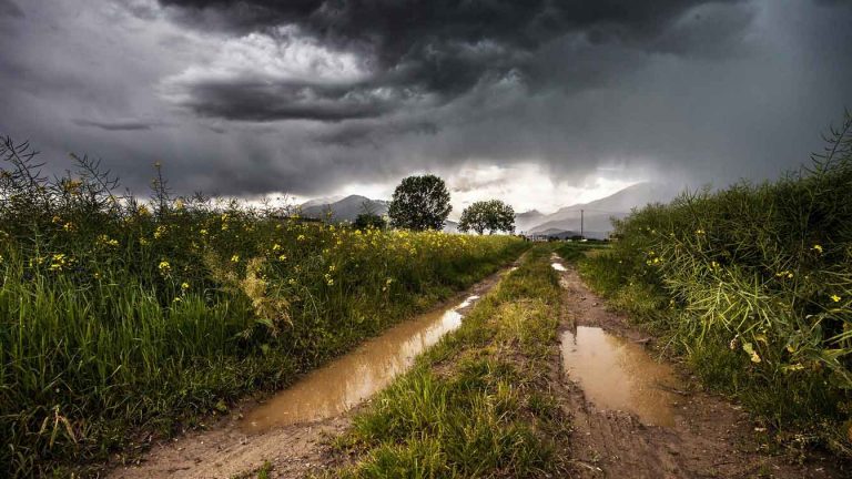 rain on a country road