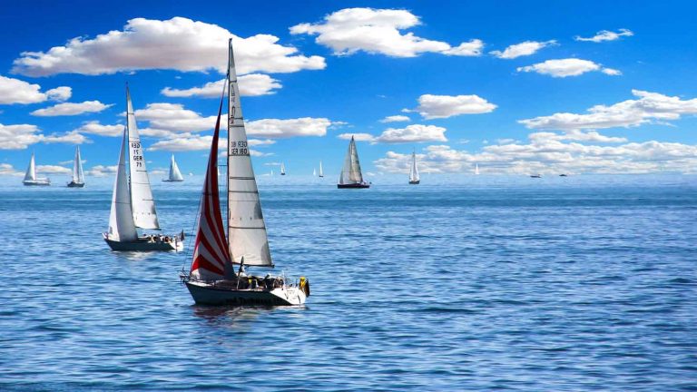sailing boats using wind