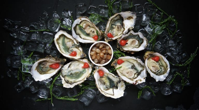 seafood on ice fresh oysters