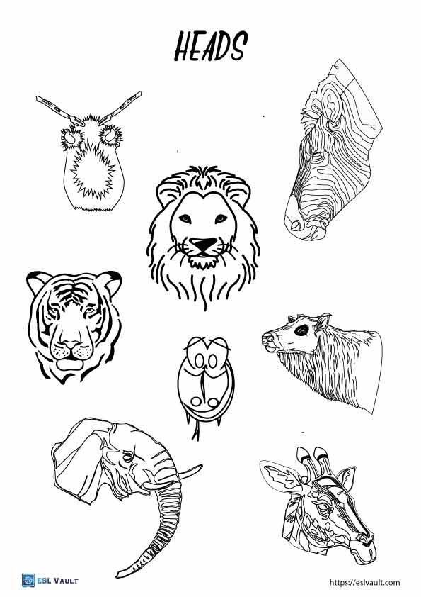 silly animals mix up heads